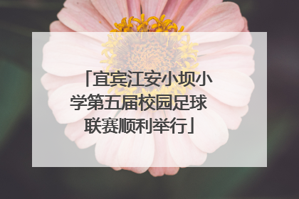 宜宾江安小坝小学第五届校园足球联赛顺利举行